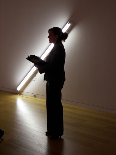 lecture_flavin