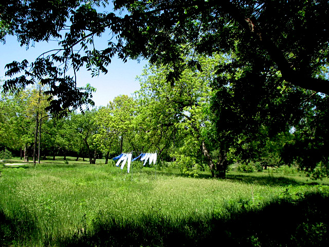Lake Arlington Golf Course